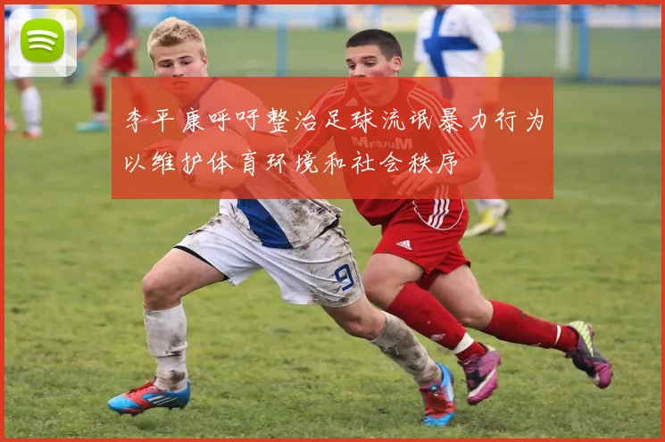 李平康呼吁整治足球流氓暴力行为以维护体育环境和社会秩序